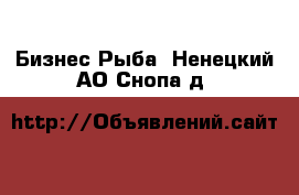 Бизнес Рыба. Ненецкий АО,Снопа д.